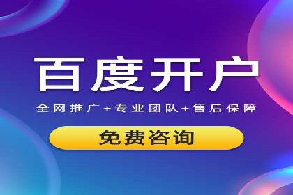 某电商平台sem竞价运营的突破与挑战